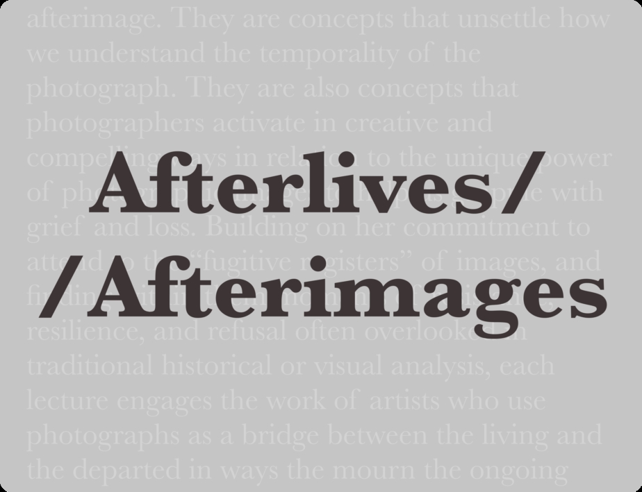 Afterlives // Afterimages