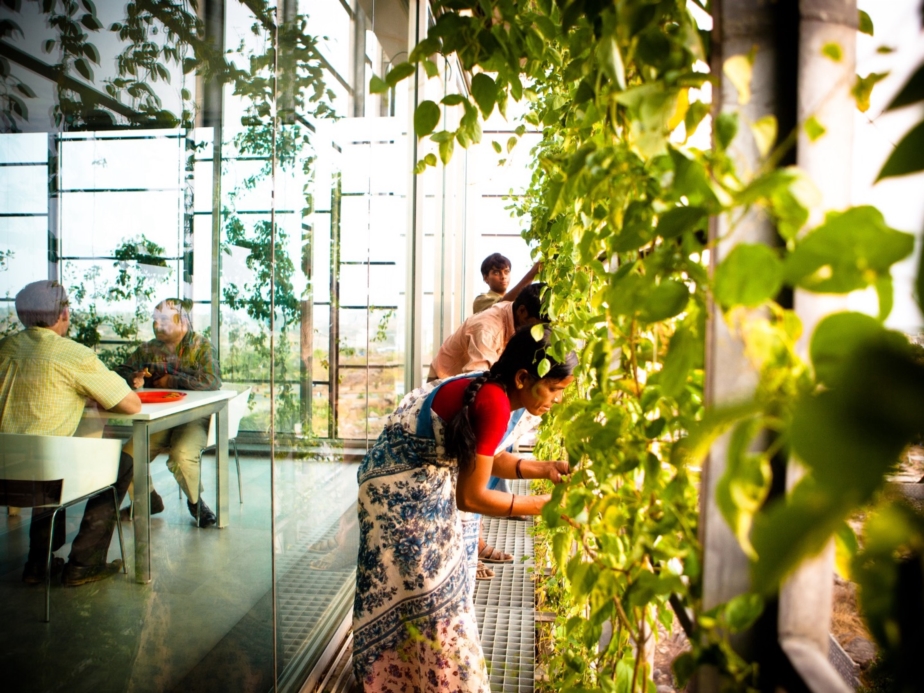 Architecture in a Time of Flux: Research as Practice & Practice as Research