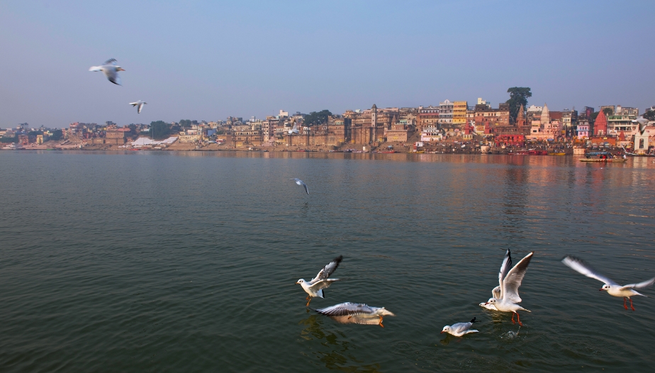 Ganga: The Living Pulse of Indian History