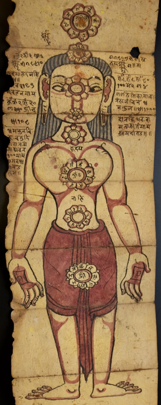 Models of the Human in Tantric Hinduism