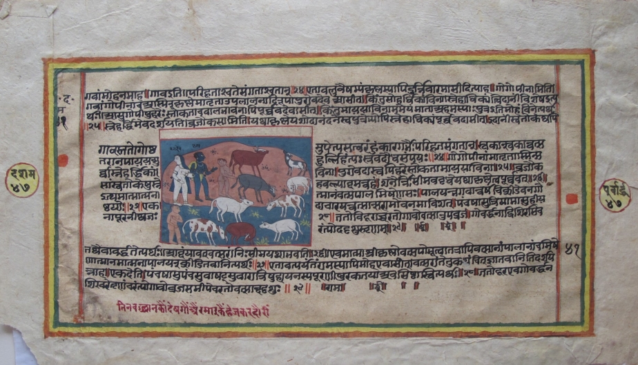 Text and Image in South Asian Painting