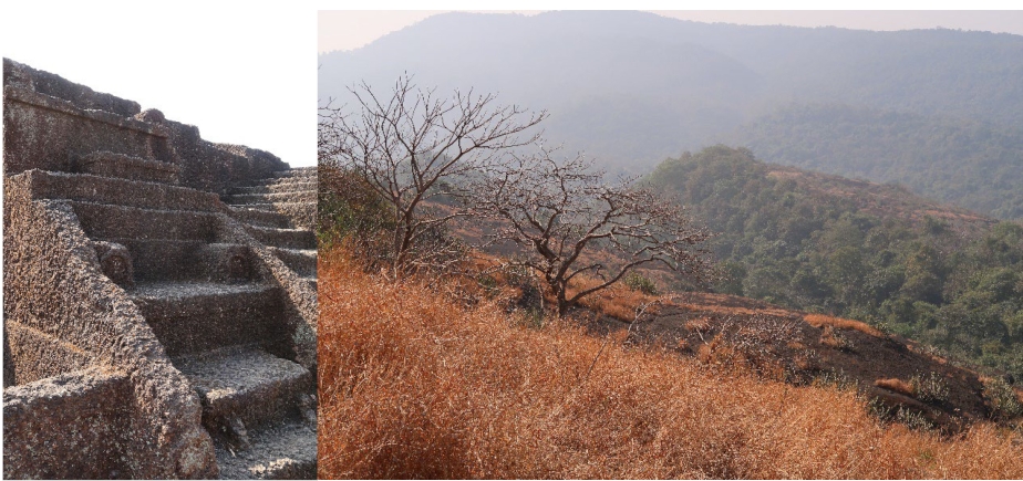 Views From the Black Mountain: The Rock-Cut Mahavihara at Kanheri/Krishnagiri